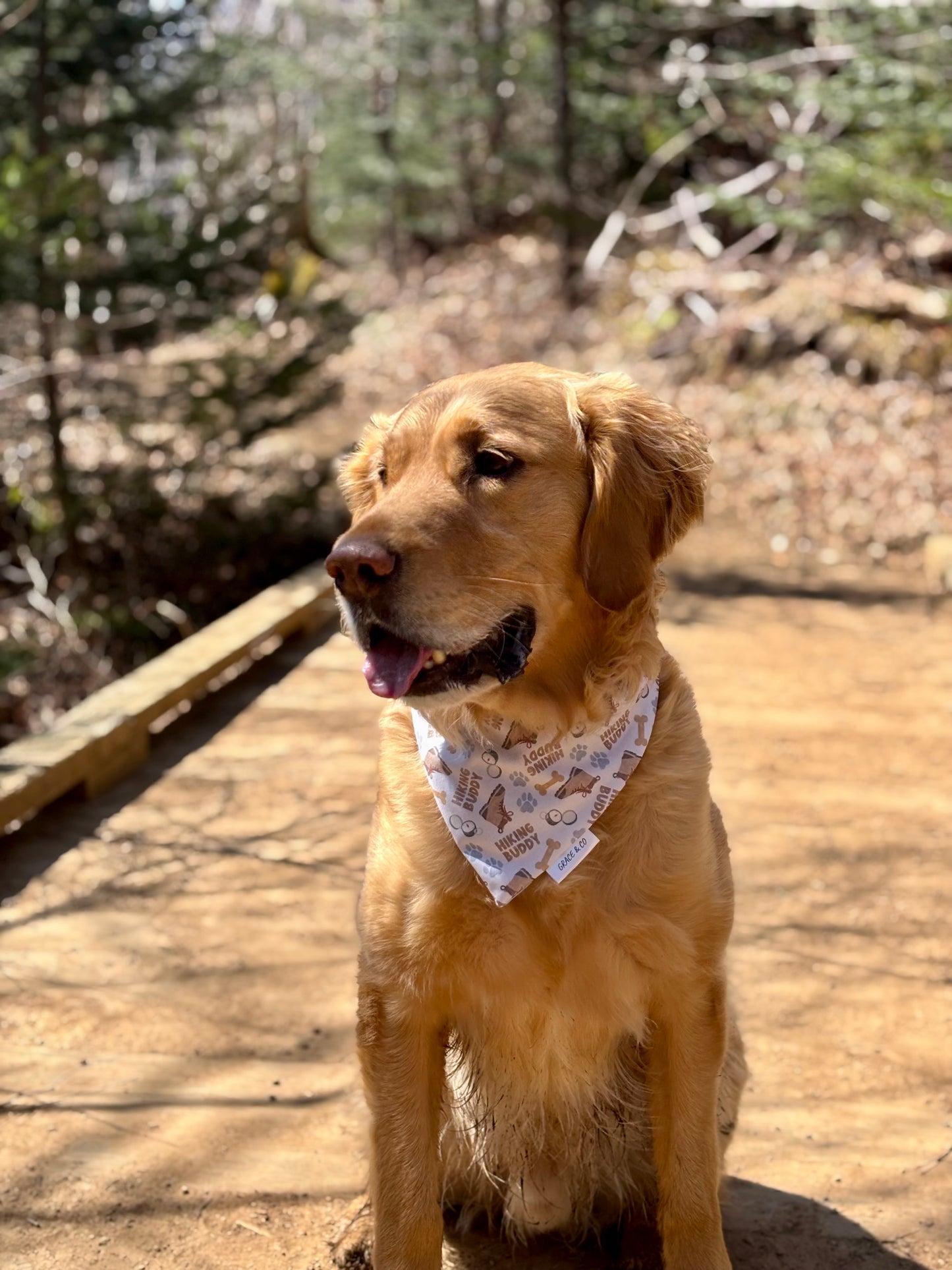 Hiking Buddy: Reversible, 2 in 1 Dog Bandana