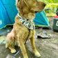 Happy Camper; 2 in 1 Dog Bandana