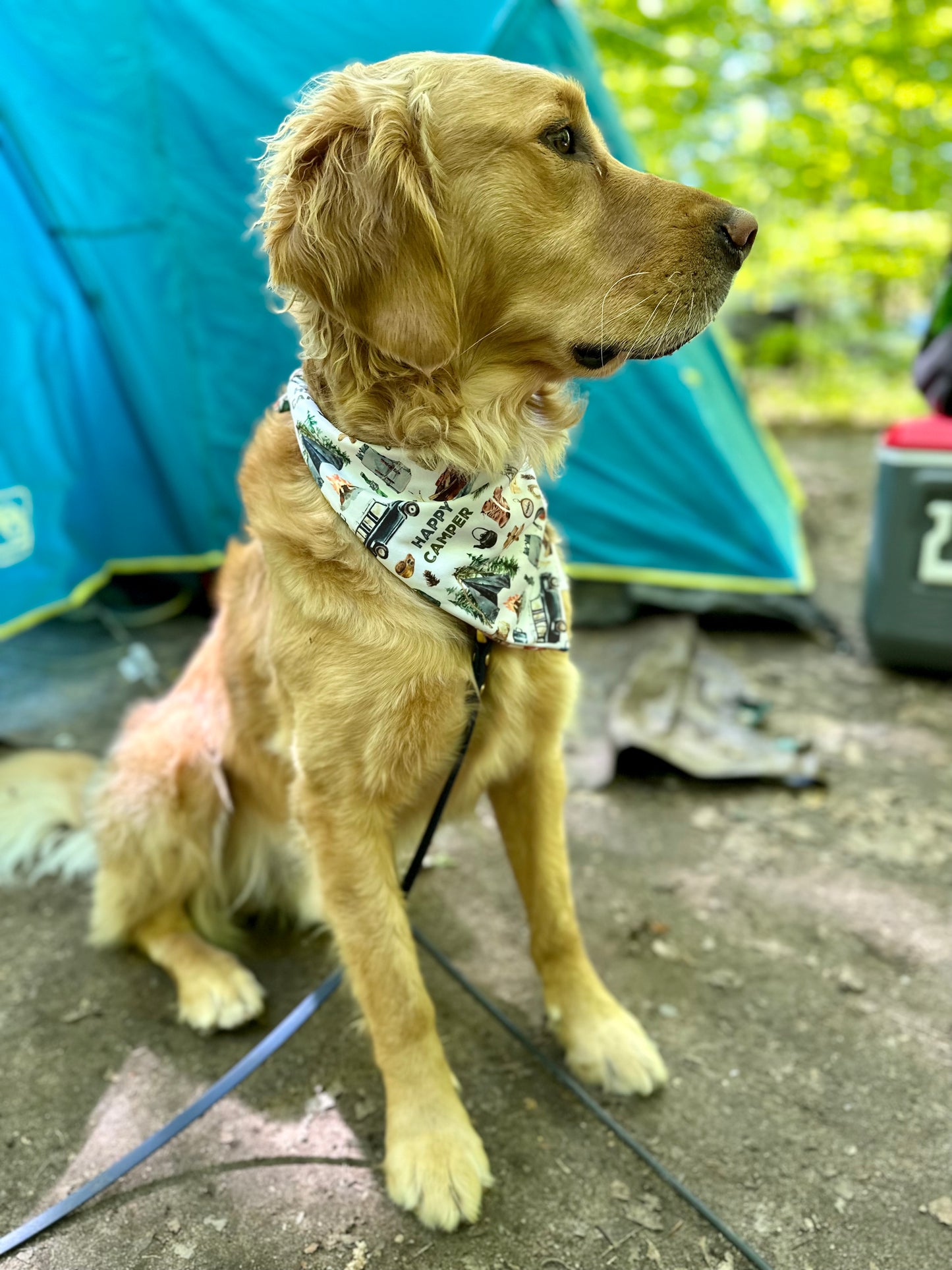 Happy Camper; 2 in 1 Dog Bandana