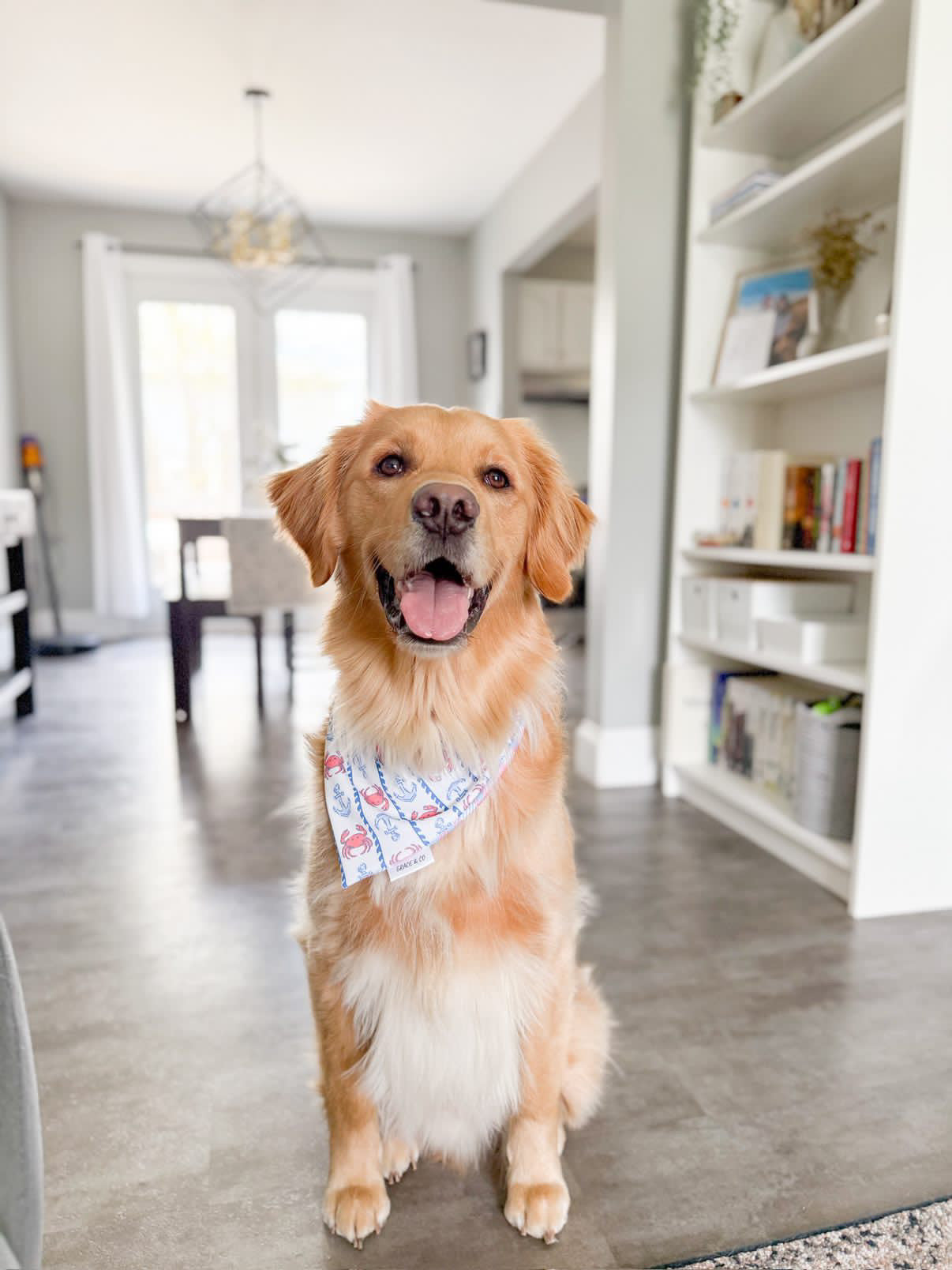 East Coast Nautical, Reversible, 2 in 1 Dog Bandana