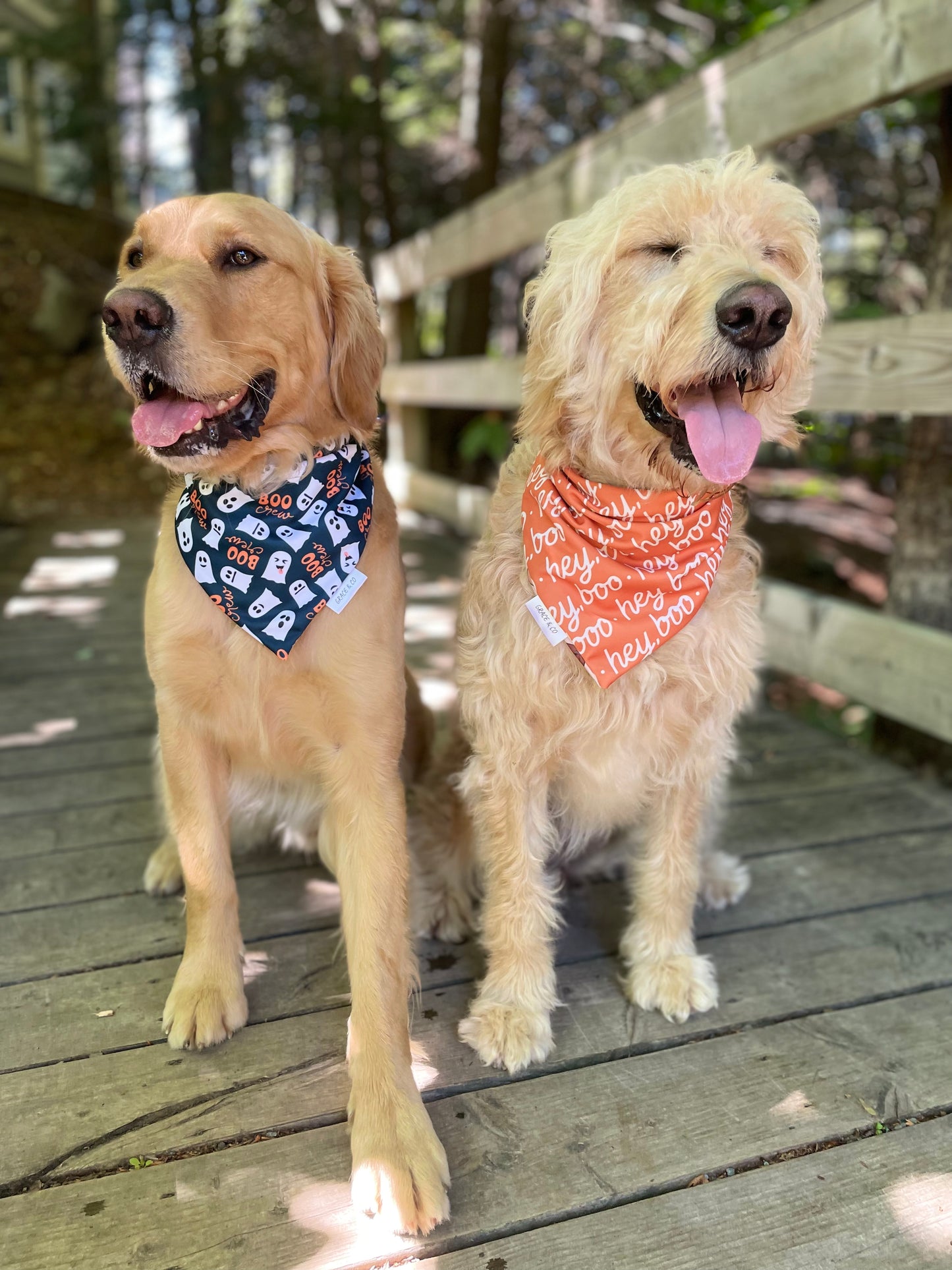 Hey Boo; 2 in 1 Double Sided Dog Bandanas