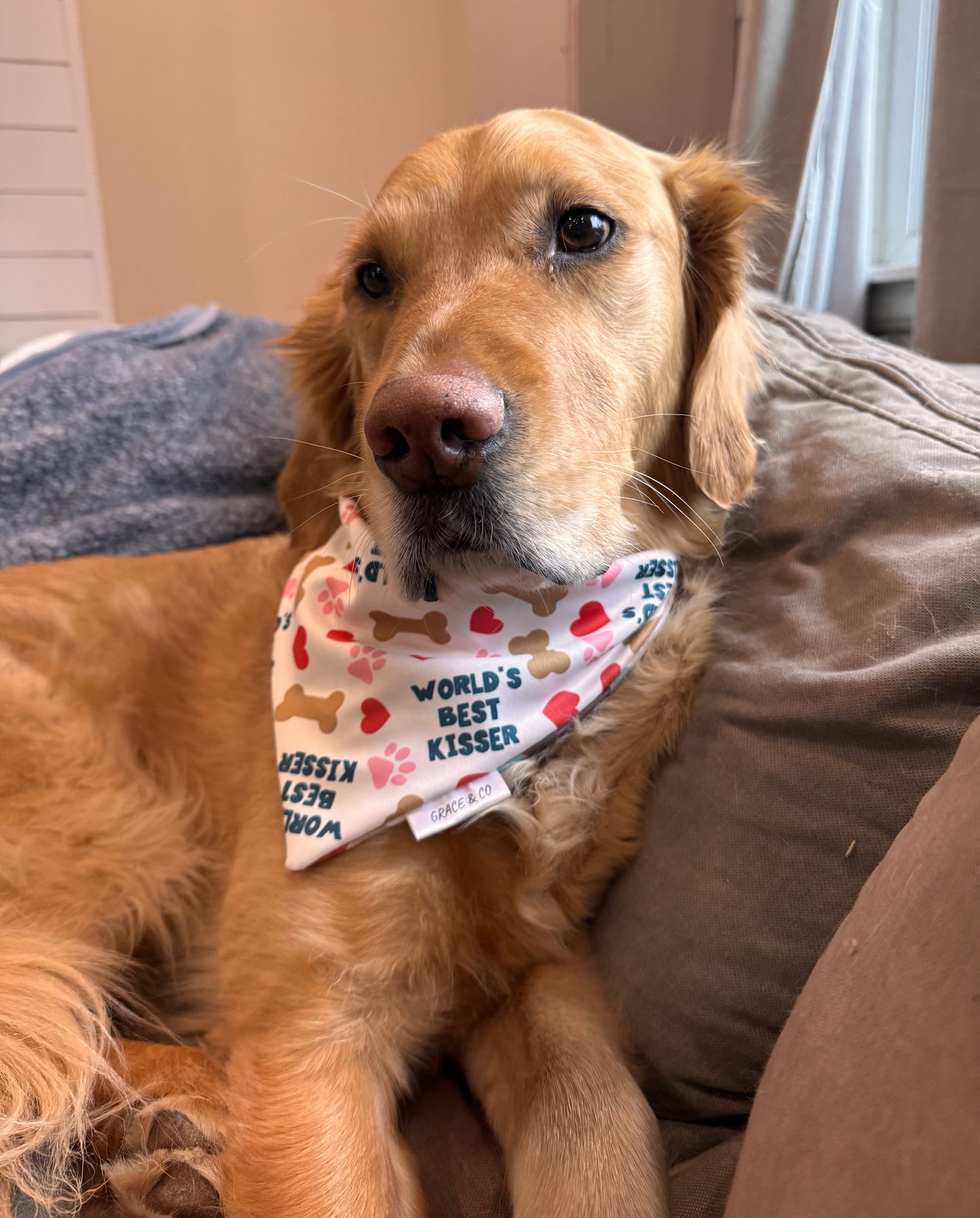 World’s Best Kisser: 2 in 1 Pup Bandana