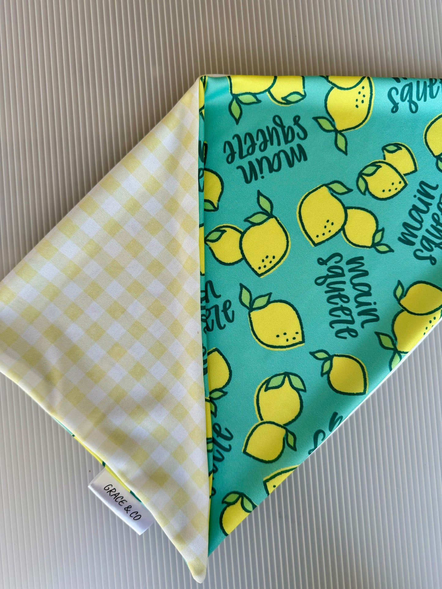 Main Squeeze, 2 in 1 Dog Bandana