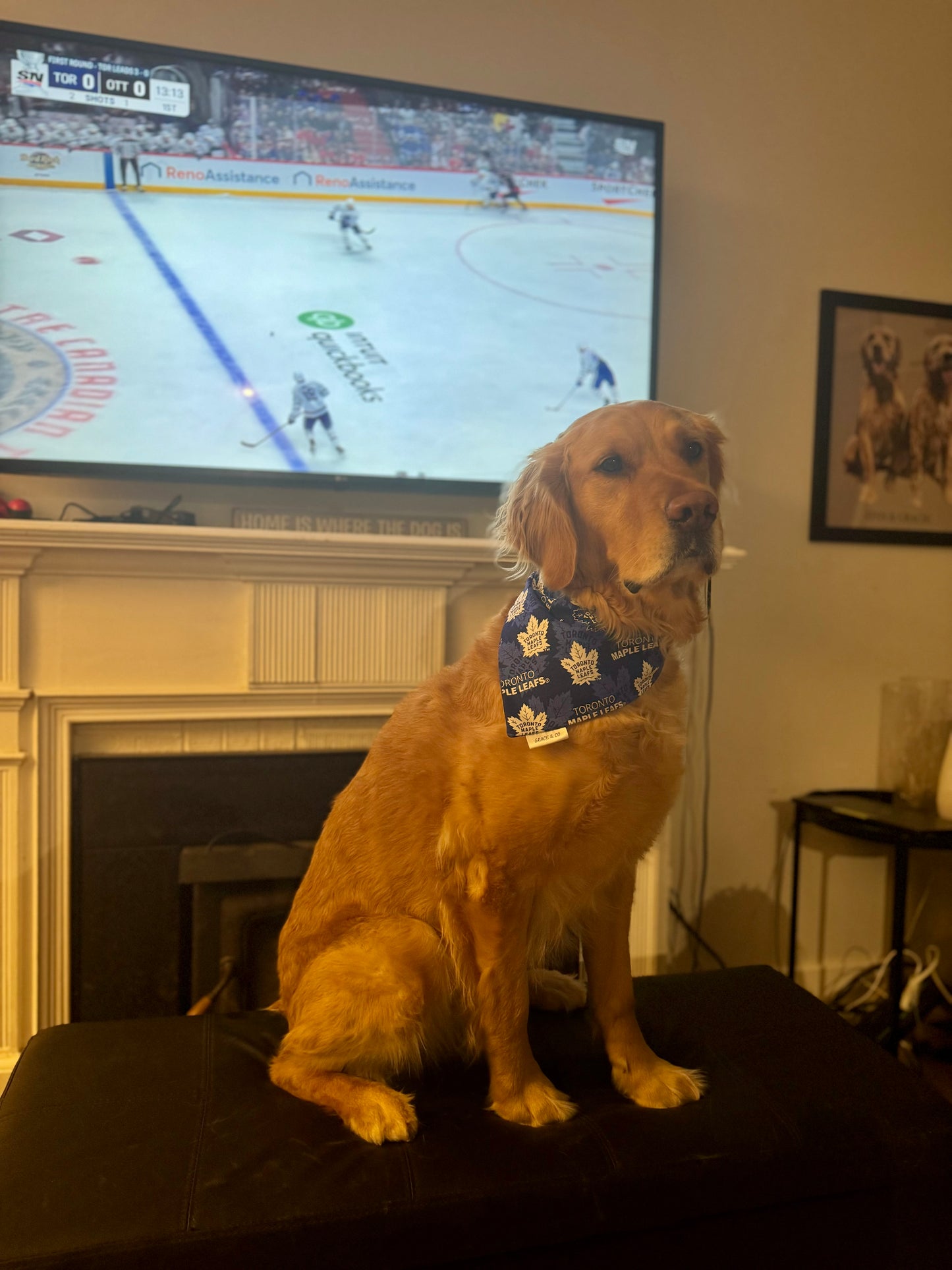 Toronto Fan **COTTON**