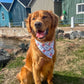 East Coast Nautical, Reversible, 2 in 1 Dog Bandana