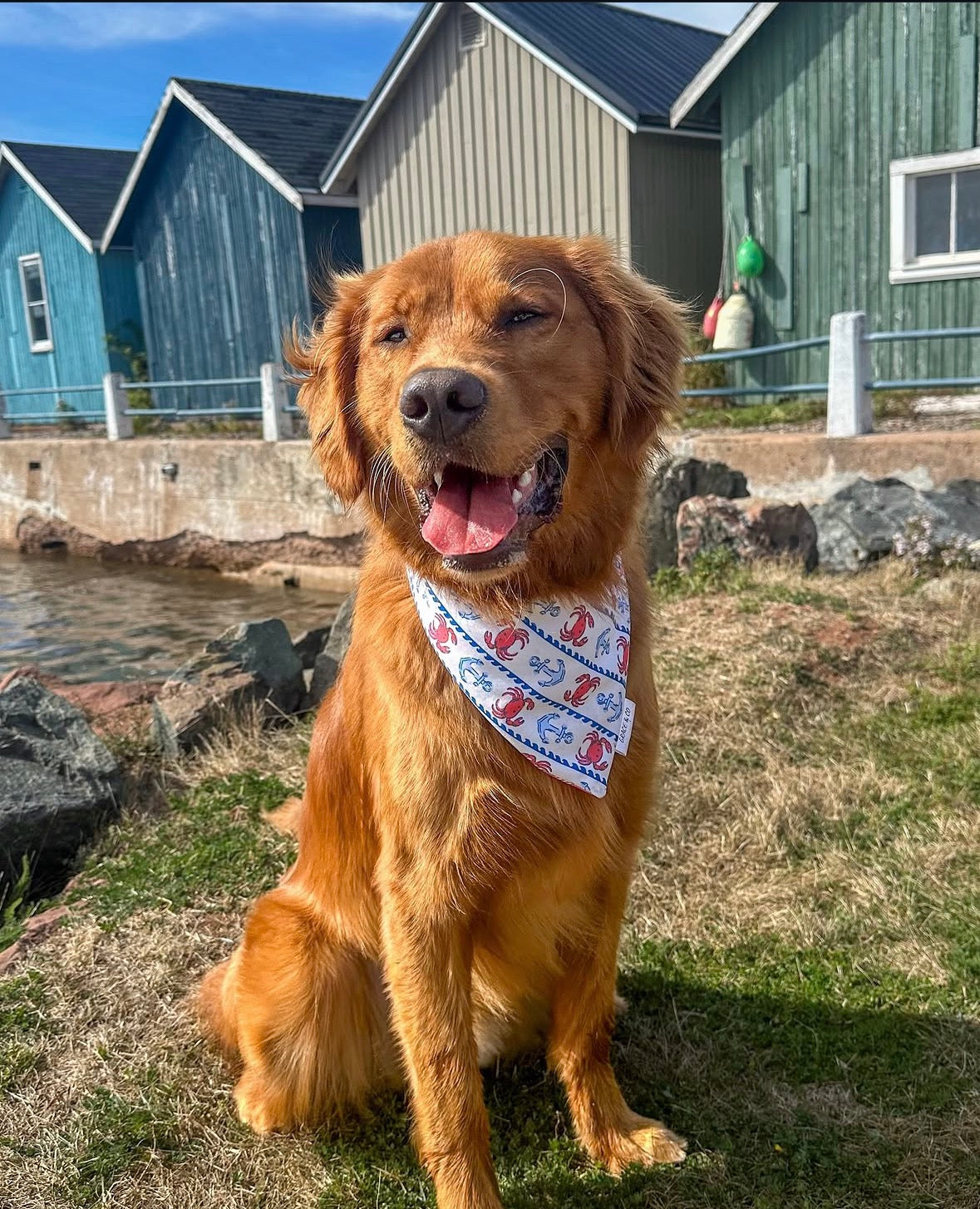 East Coast Nautical, Reversible, 2 in 1 Dog Bandana