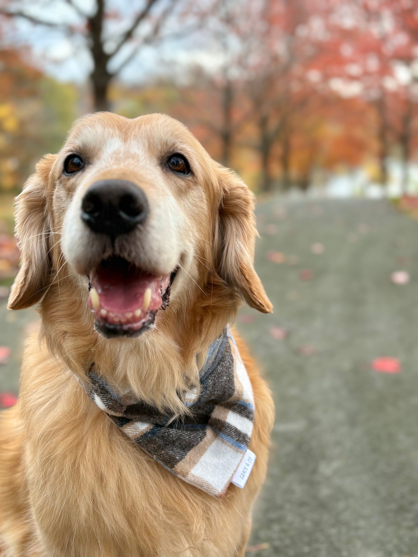 Double Sided Flannel Plaid Bandana