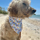 Beach Hair Don’t Care, 2 in 1 dog bandana: water resistant