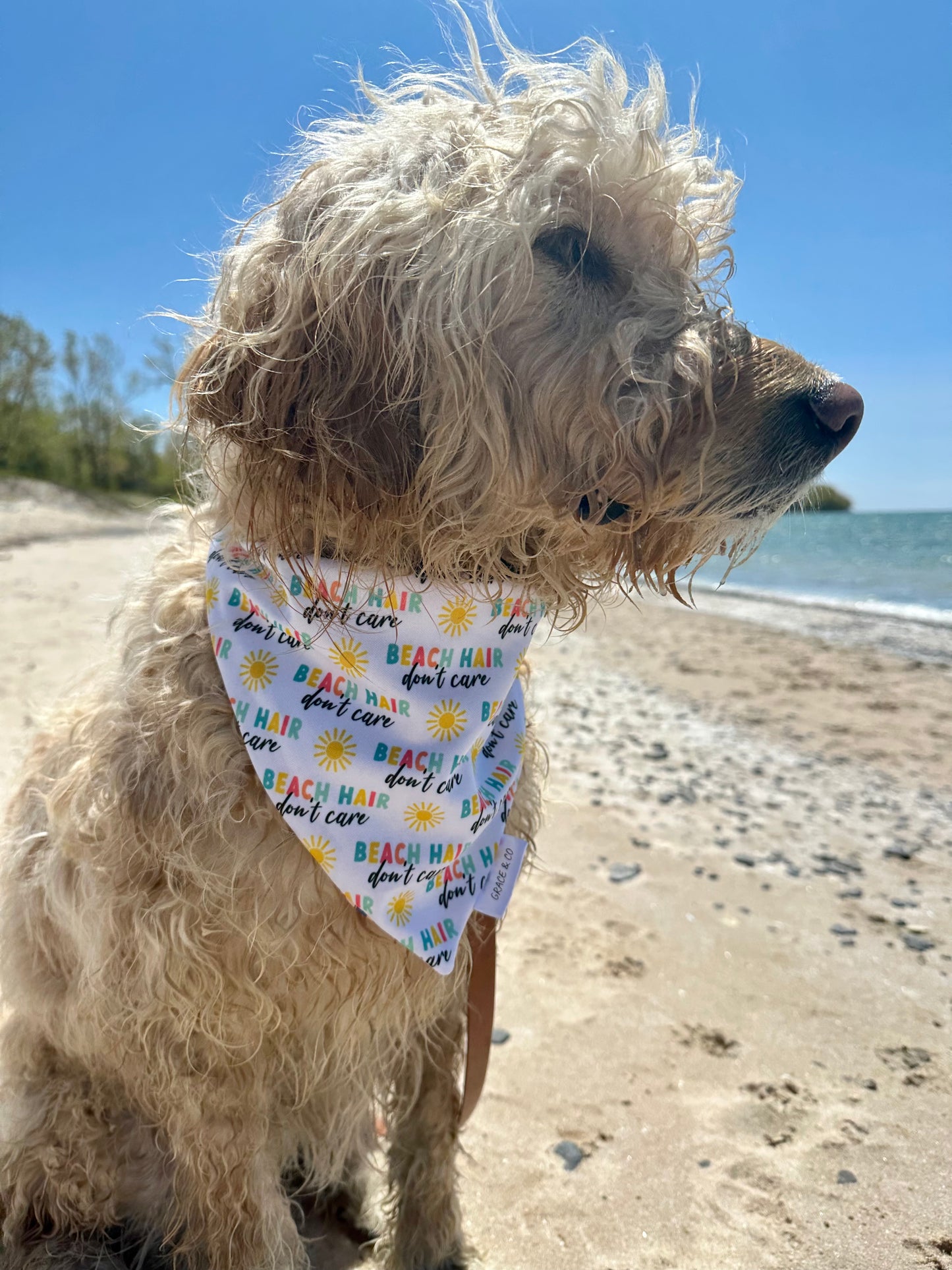 Beach Hair Don’t Care, 2 in 1 dog bandana: water resistant