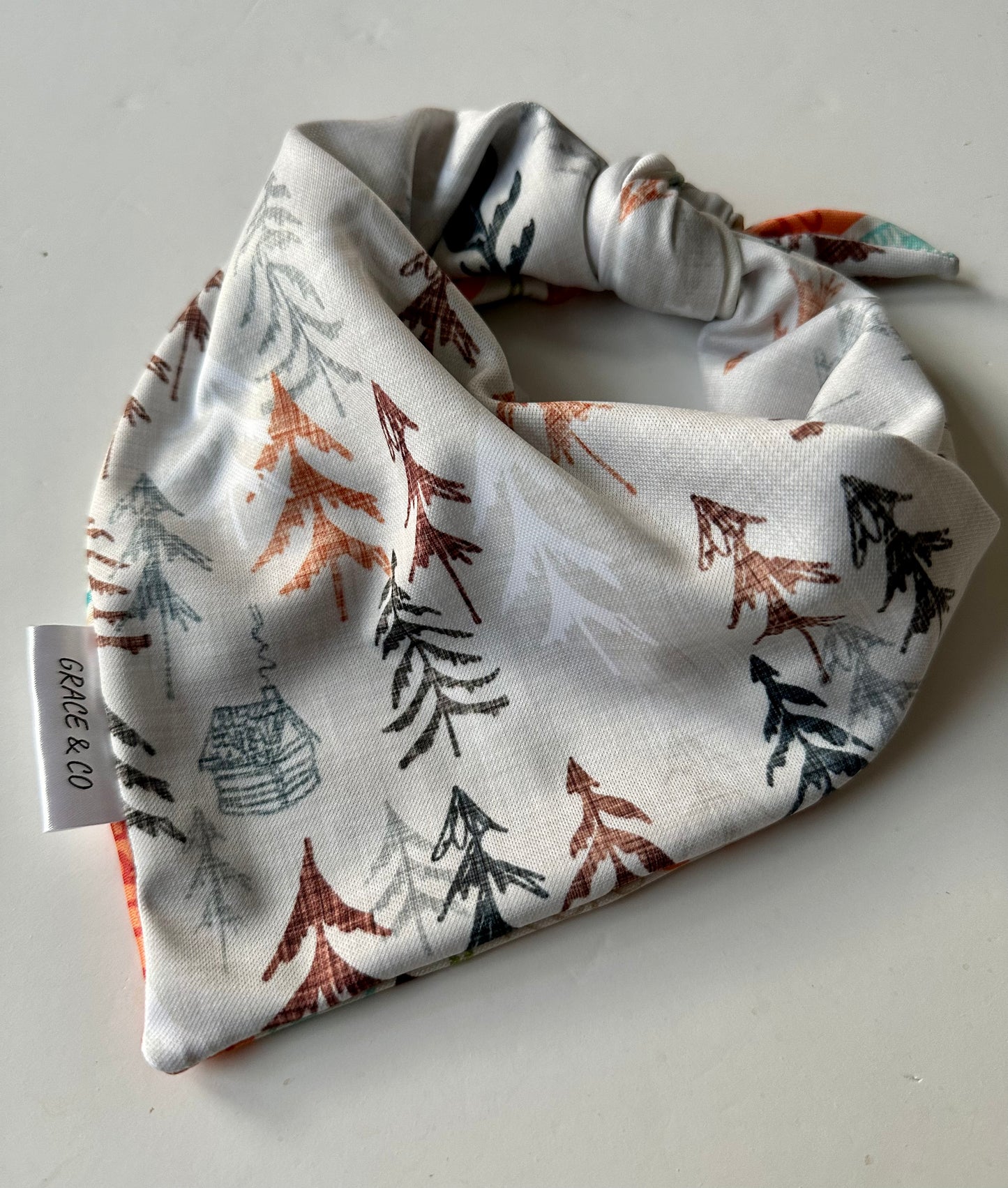 Adventure Time, 2 in 1 dog bandana: water resistant