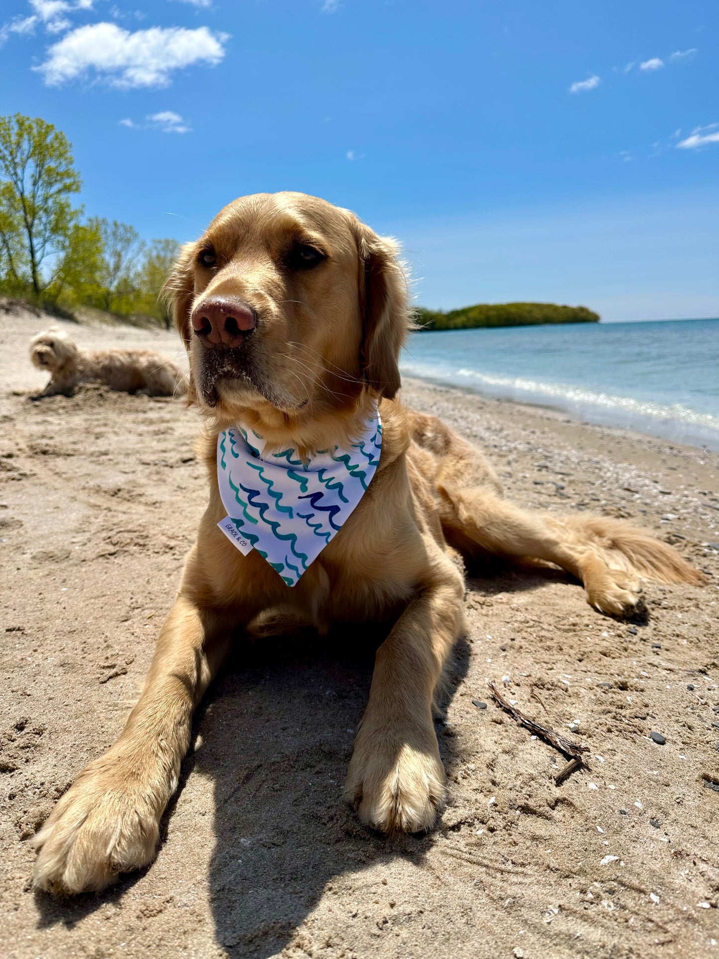 Meet Me At The Ocean, 2 in 1 dog bandana: water resistant