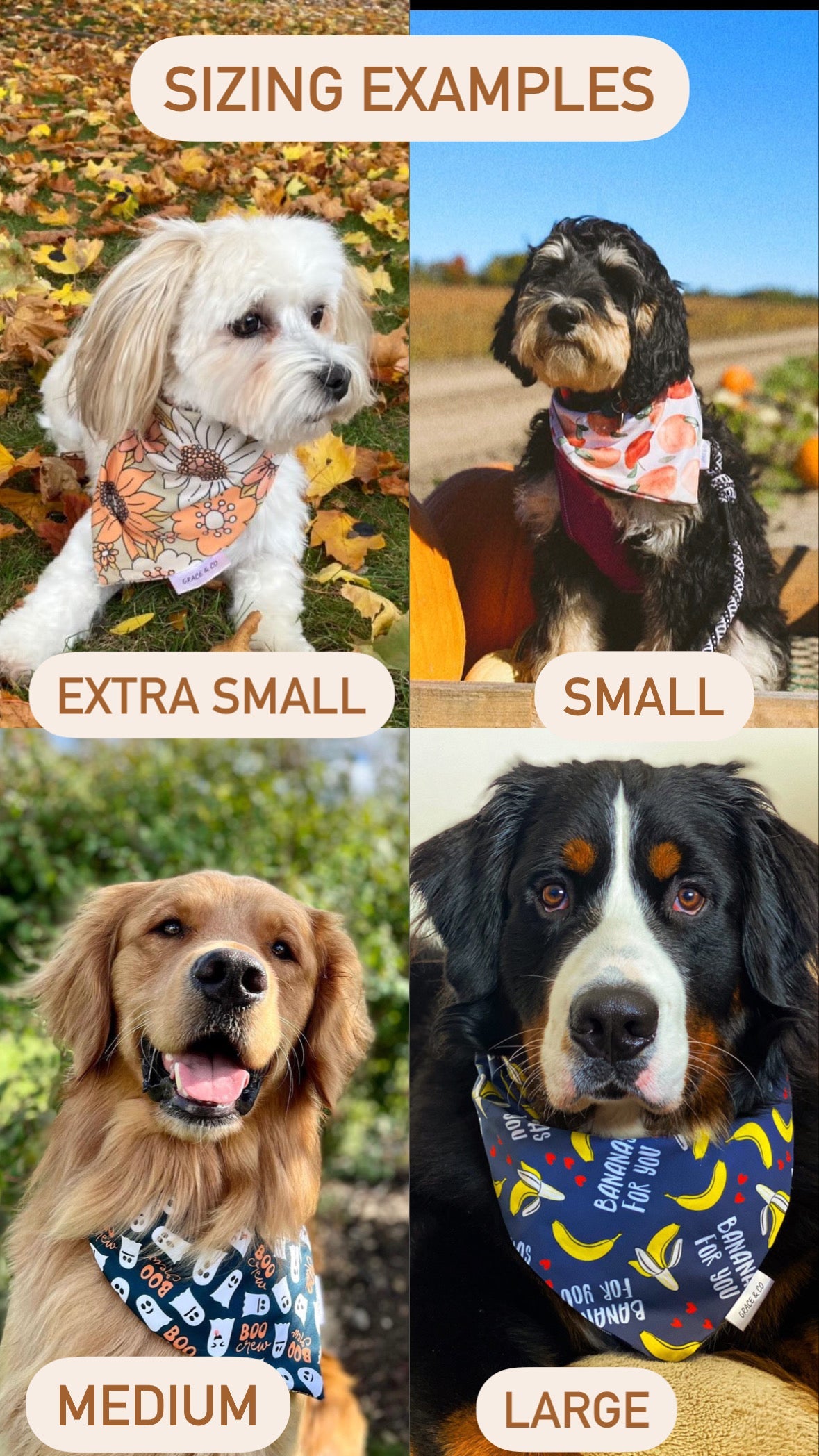 Beach Hair Don’t Care, 2 in 1 dog bandana: water resistant