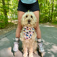 Summer Blading