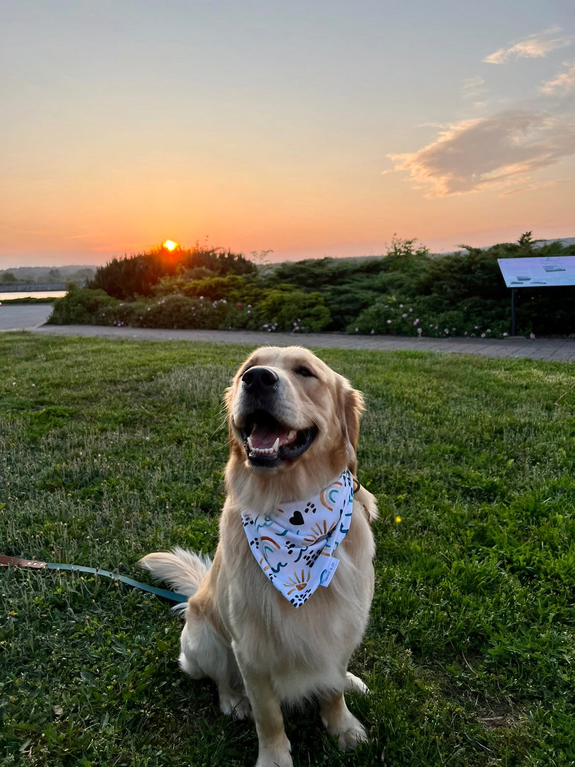 Meet Me At The Ocean, 2 in 1 dog bandana: water resistant