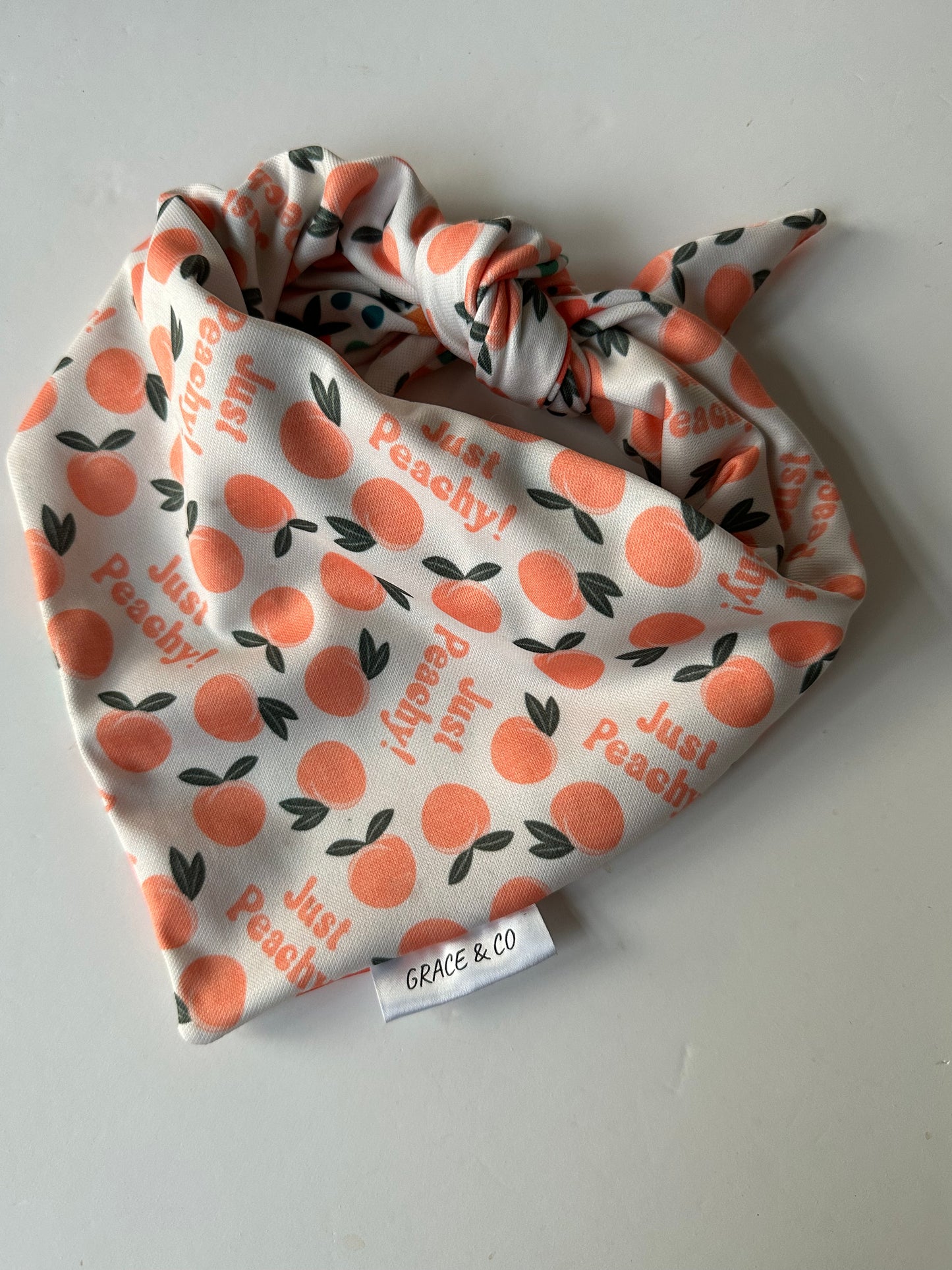 Just Peachy, 2 in 1 dog bandana: water resistant