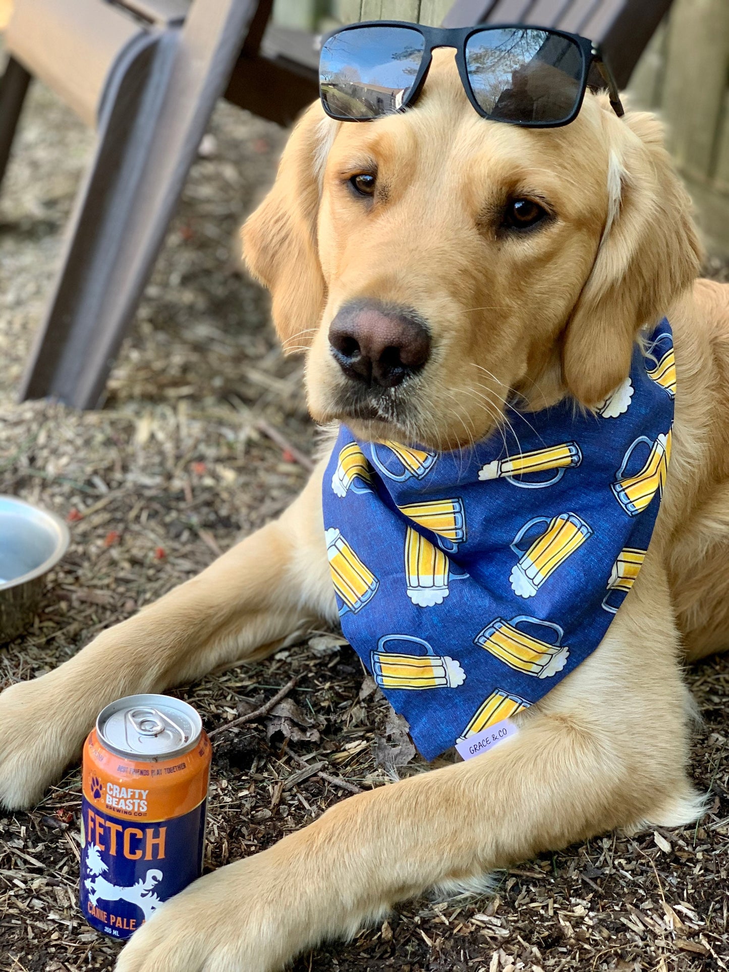 PUPCRAWL: DOUBLE SIDED