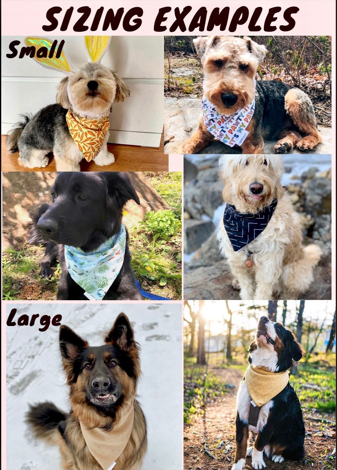 PUPCRAWL: DOUBLE SIDED