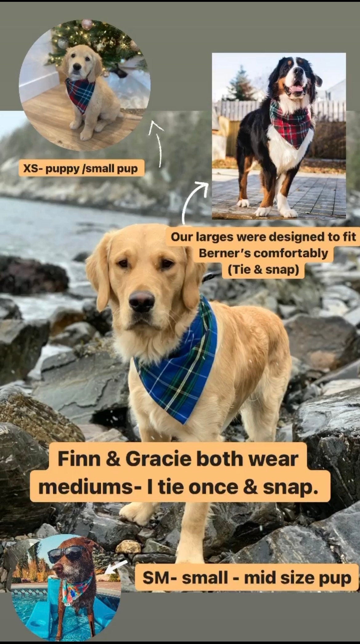 SWIM: Camping Pup Bandana