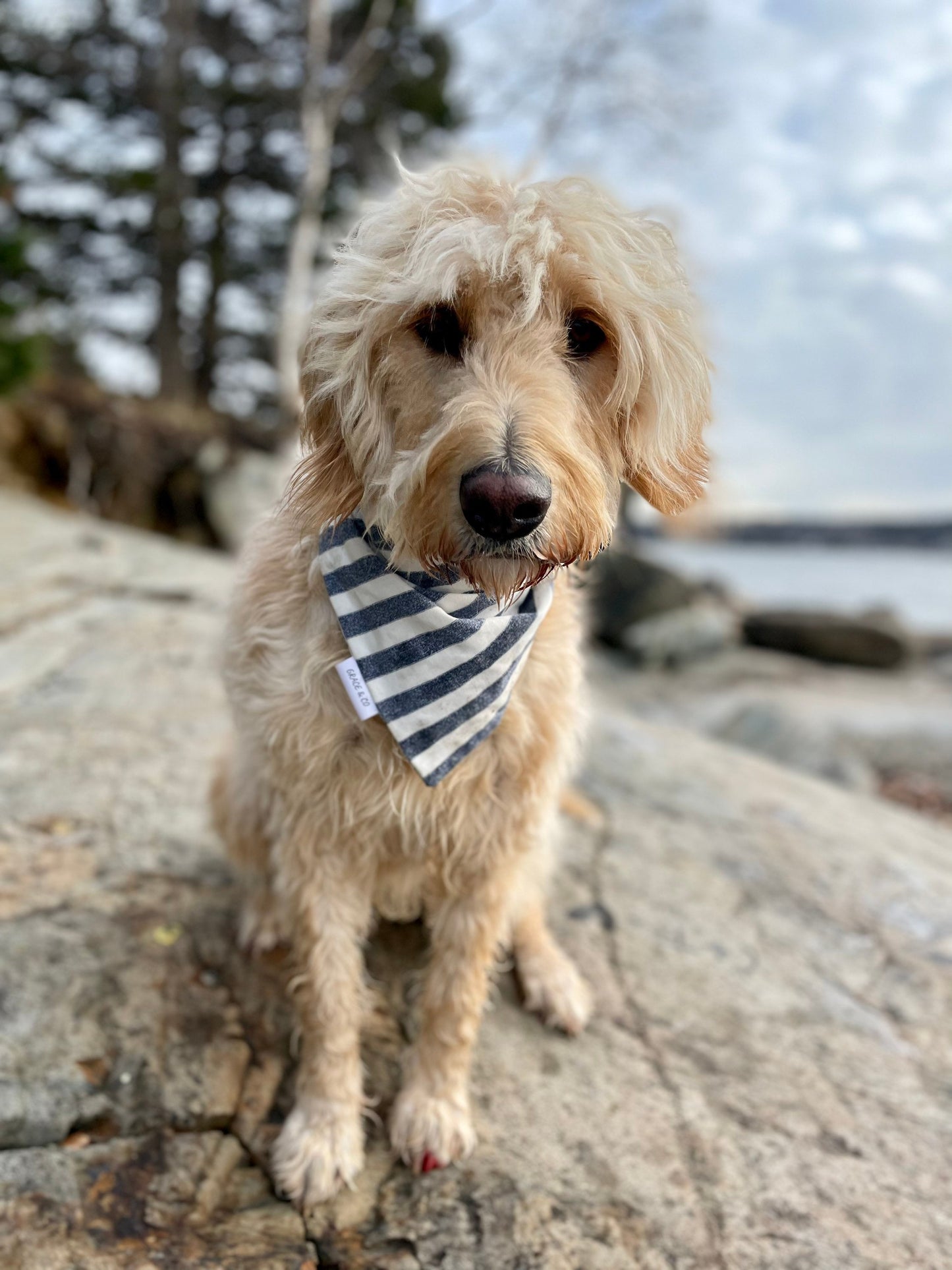 Classic Stripes Bandana