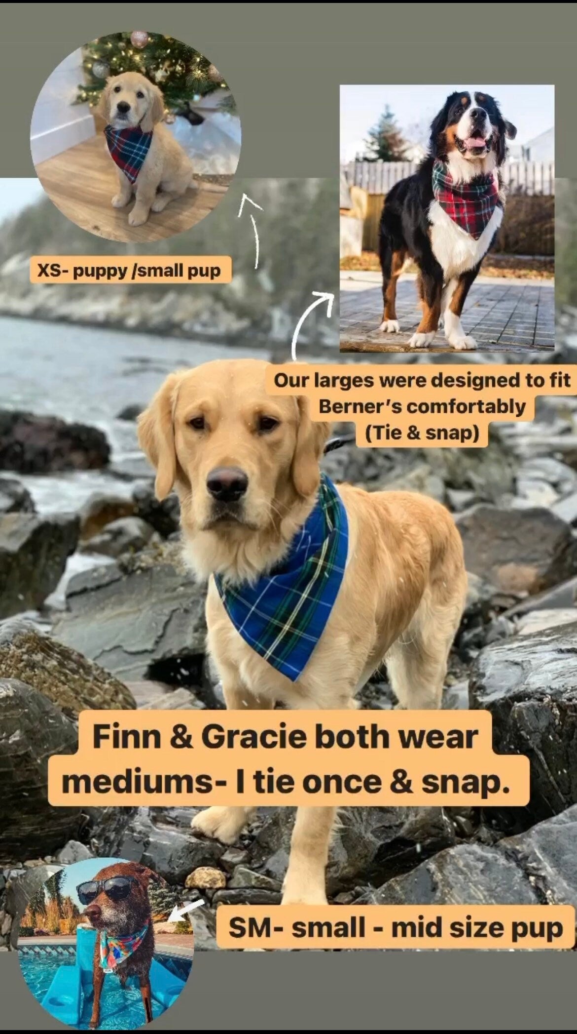SWIM BANDANA: Lobster Lover