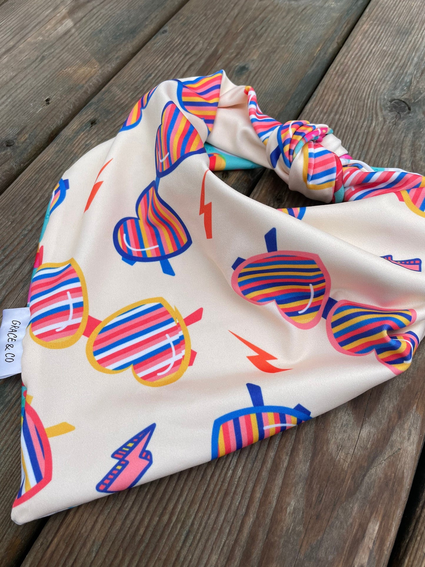 SWIM: Pup Pool Party Bandana