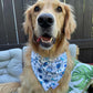SWIM: East Coast Necessity Bandana