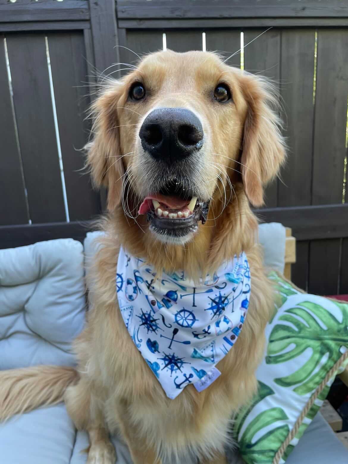 SWIM: East Coast Necessity Bandana