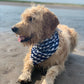 SWIM: East Coast Necessity Bandana