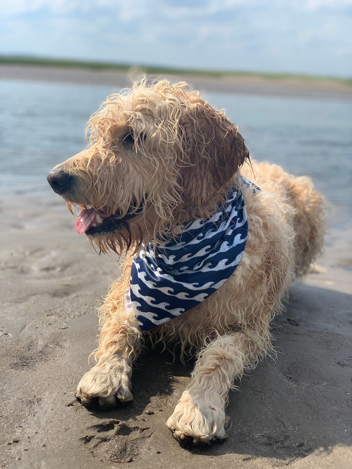 SWIM: East Coast Necessity Bandana