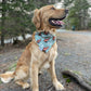 SWIM BANDANA: Take a Hike