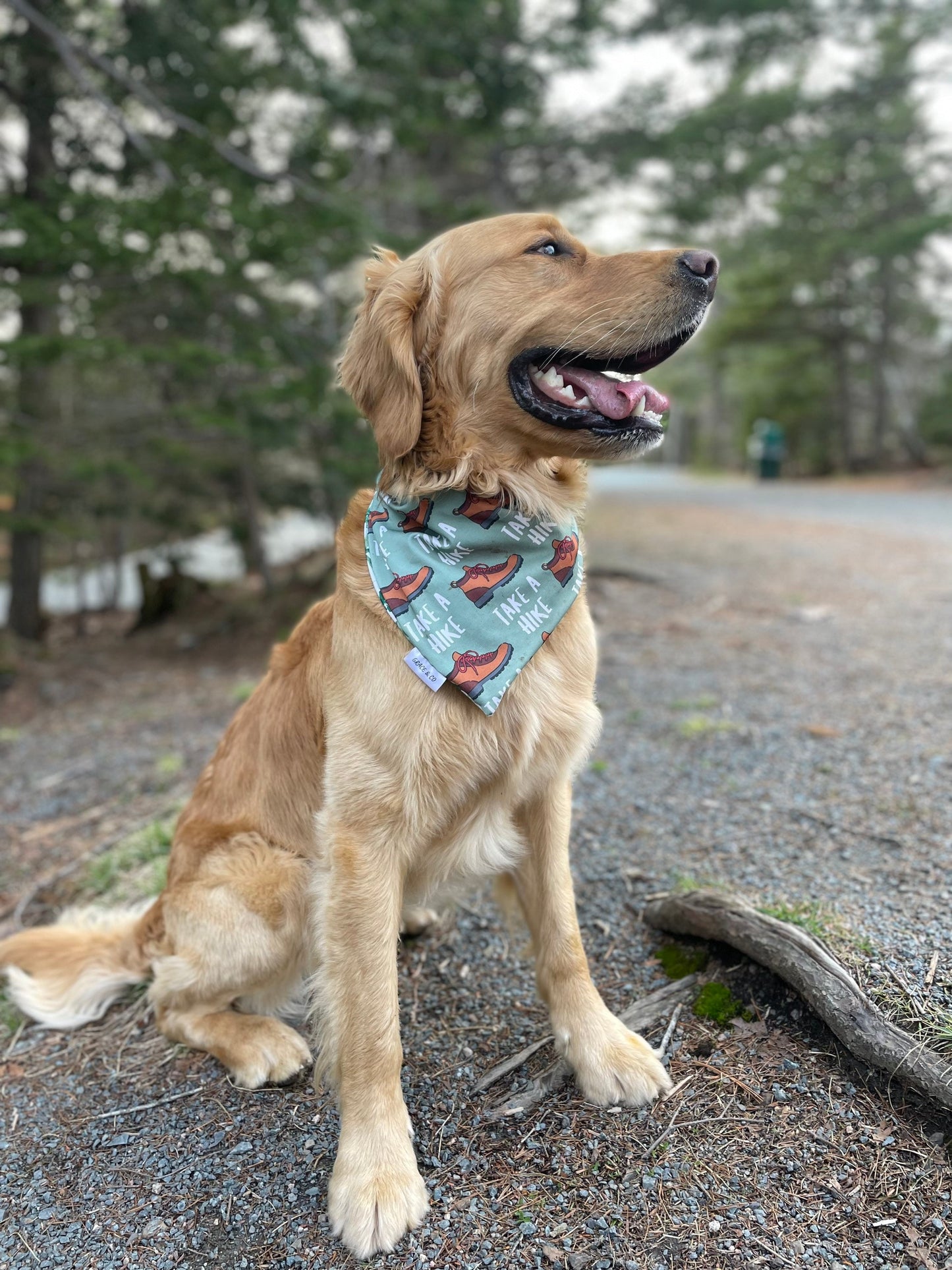 SWIM BANDANA: Take a Hike