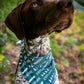 SWIM BANDANA: Explore, Adventure, Wander