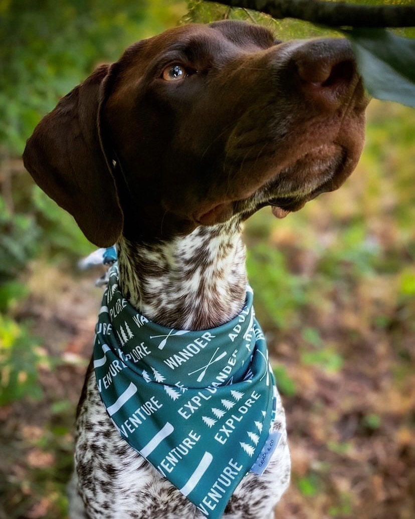 SWIM BANDANA: Explore, Adventure, Wander