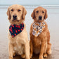 SWIM BANDANA: Lobster Lover
