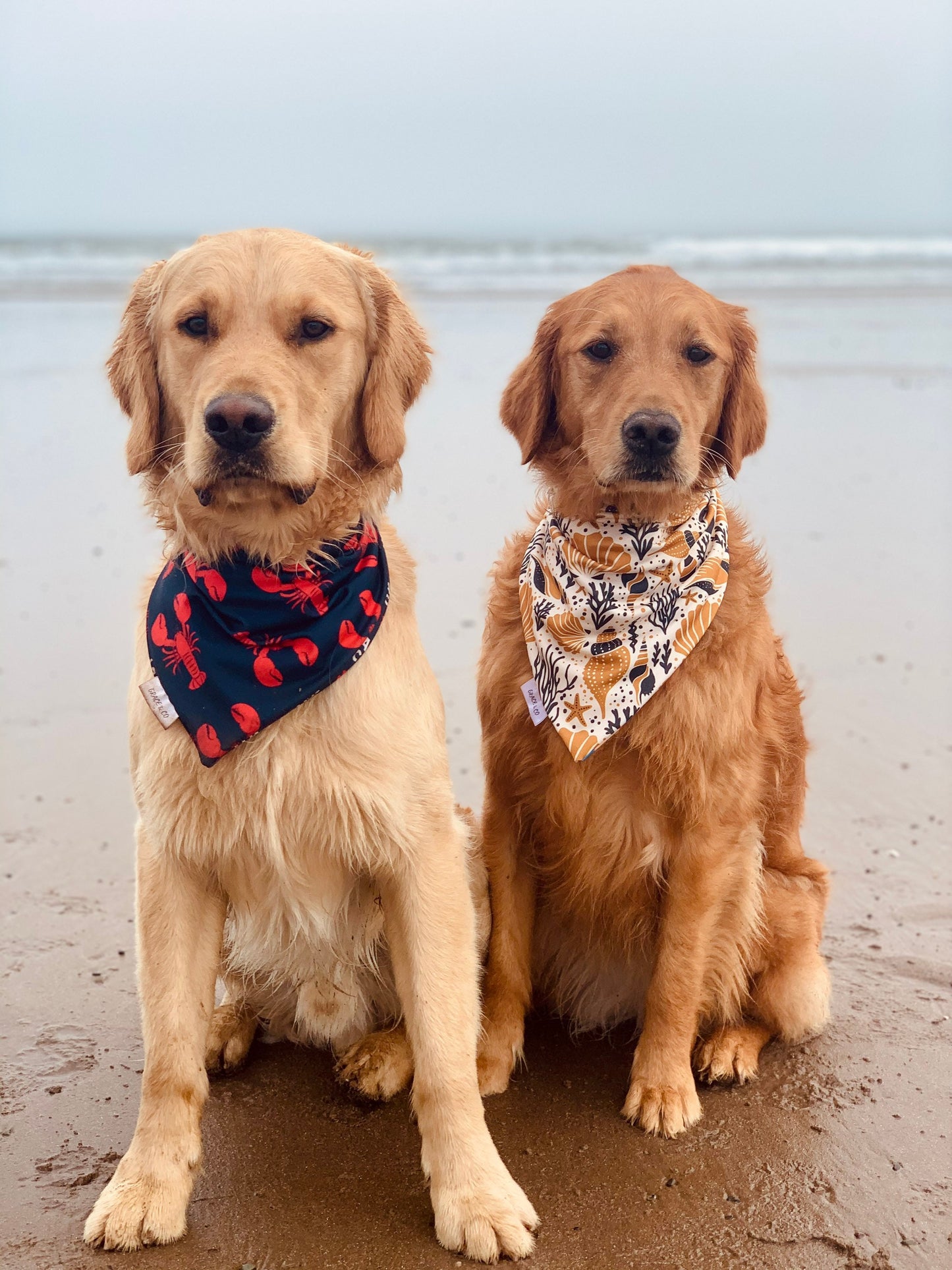 SWIM BANDANA: Lobster Lover