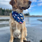 SWIM: Beach Bum Bandana