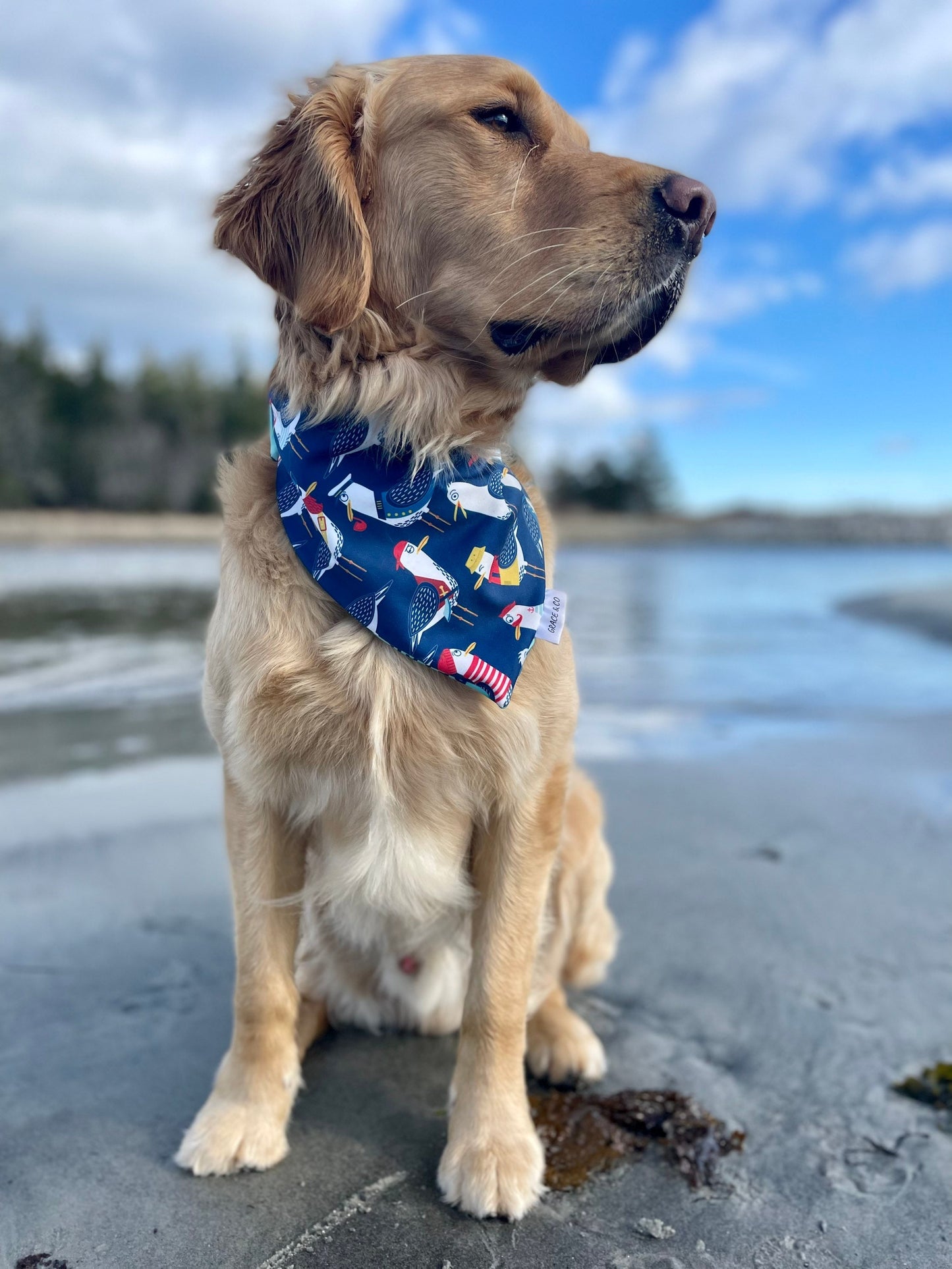SWIM: Beach Bum Bandana