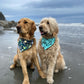 SWIM: Beach Bum Bandana