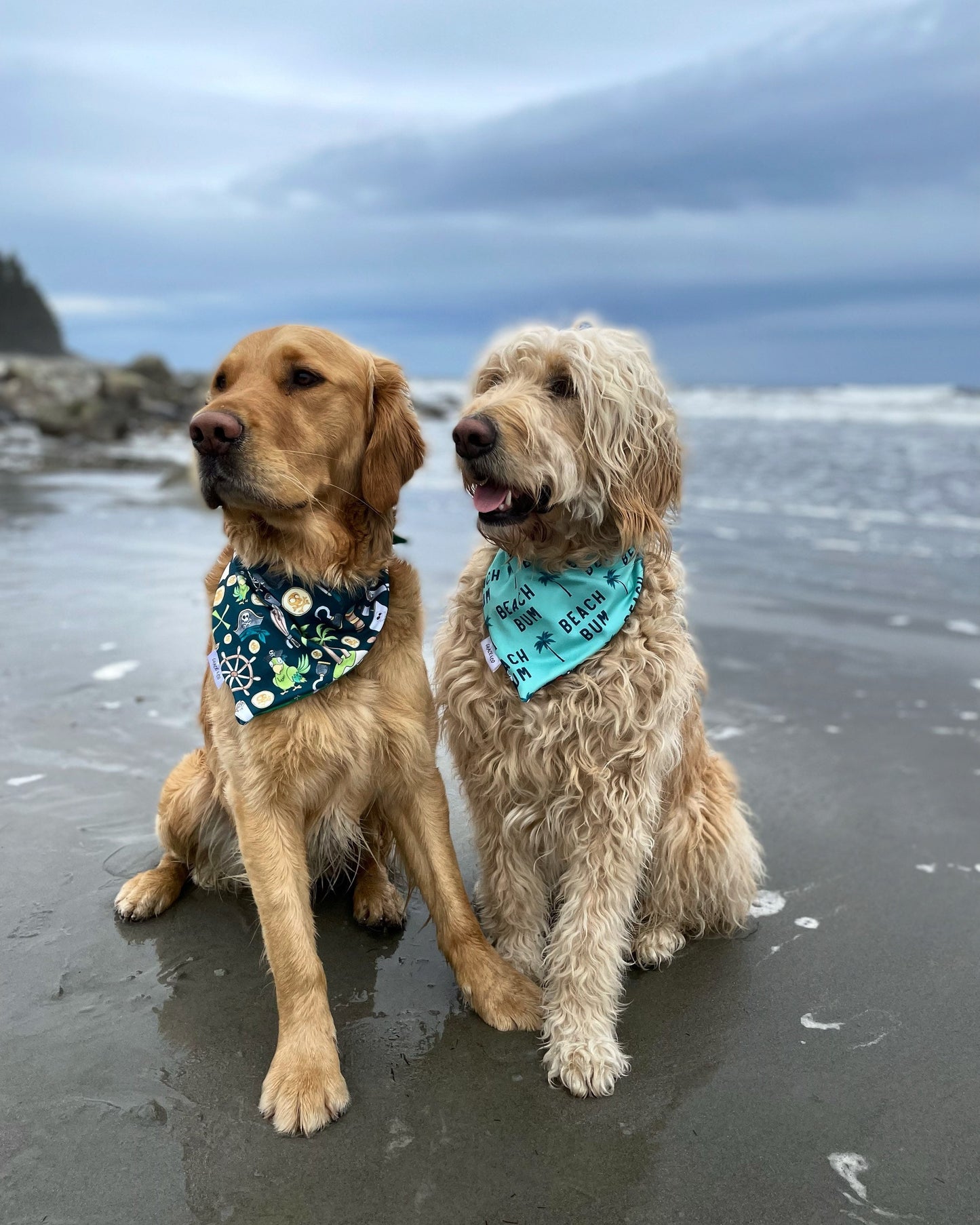 SWIM: Beach Bum Bandana