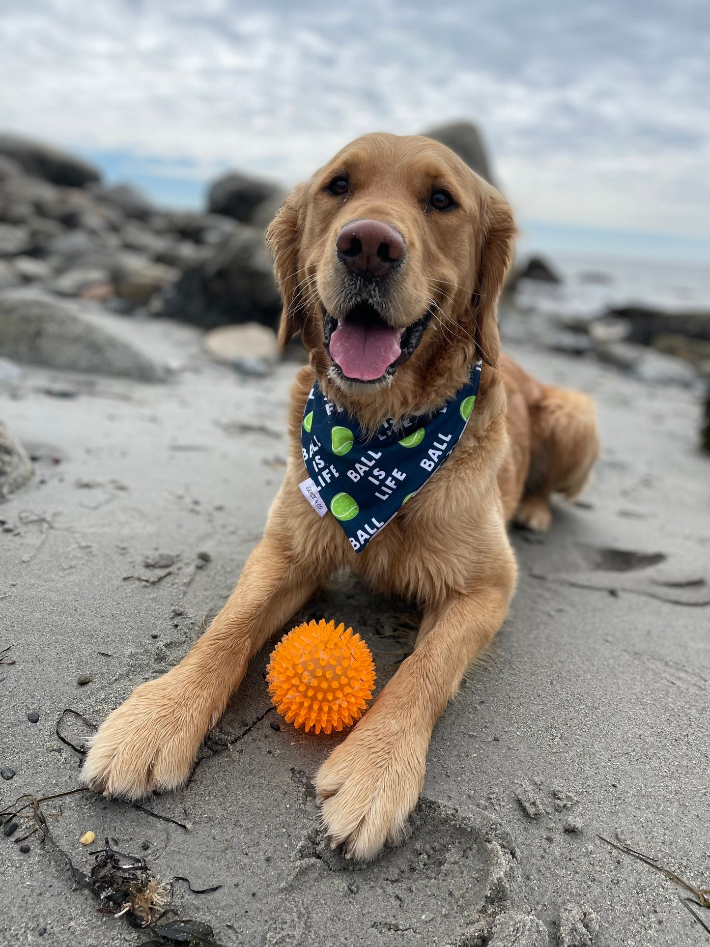 SWIM: Ball is Life / Branch Manager
