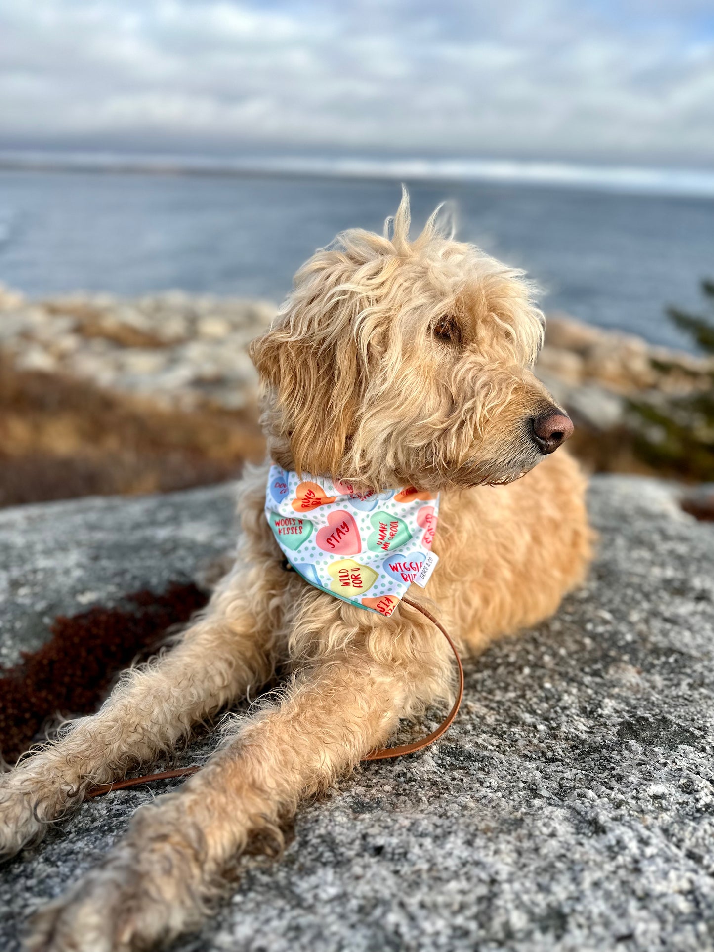 Pup Love Candy Hearts