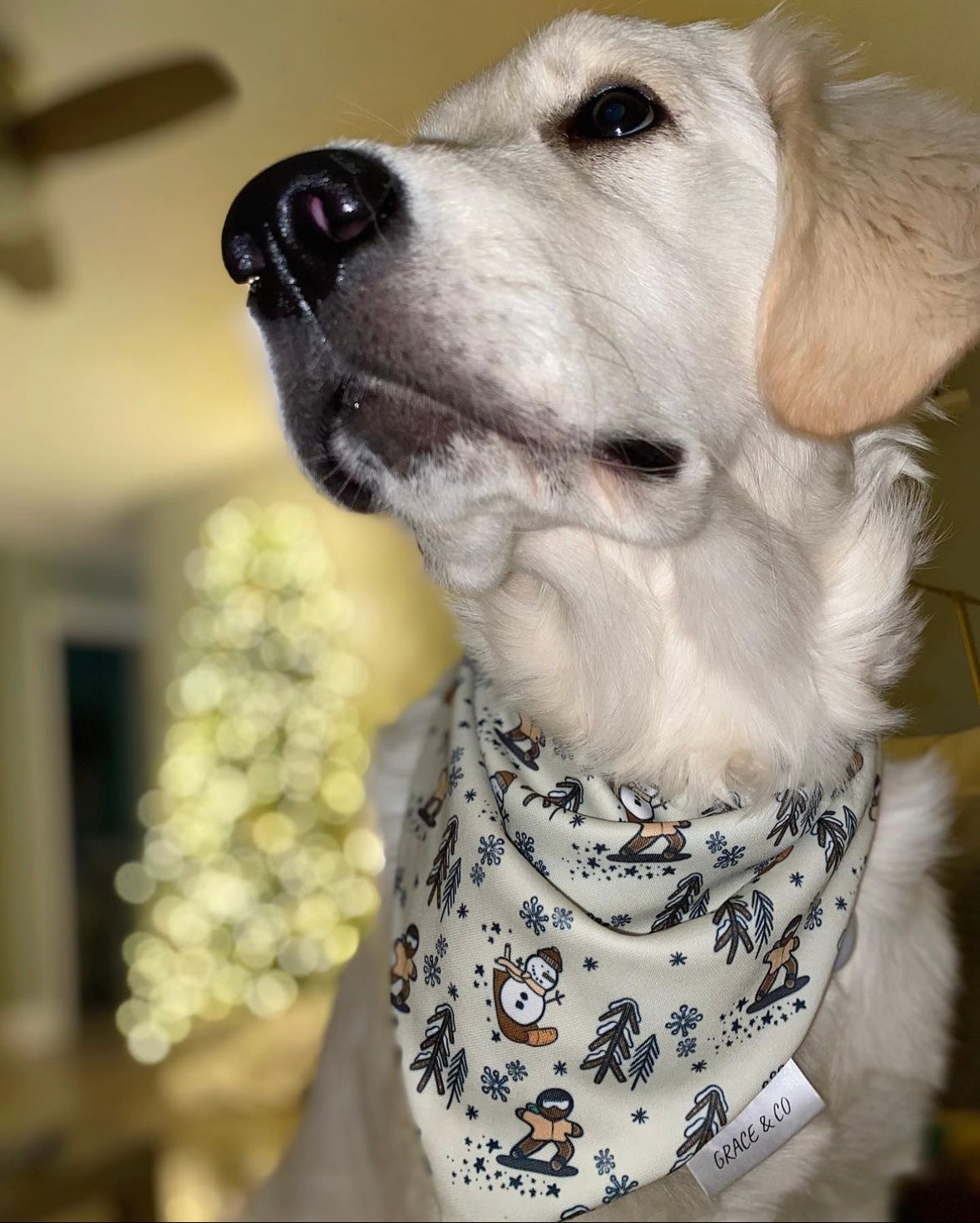 Snowboarding SnowMen & Gingerbread Man