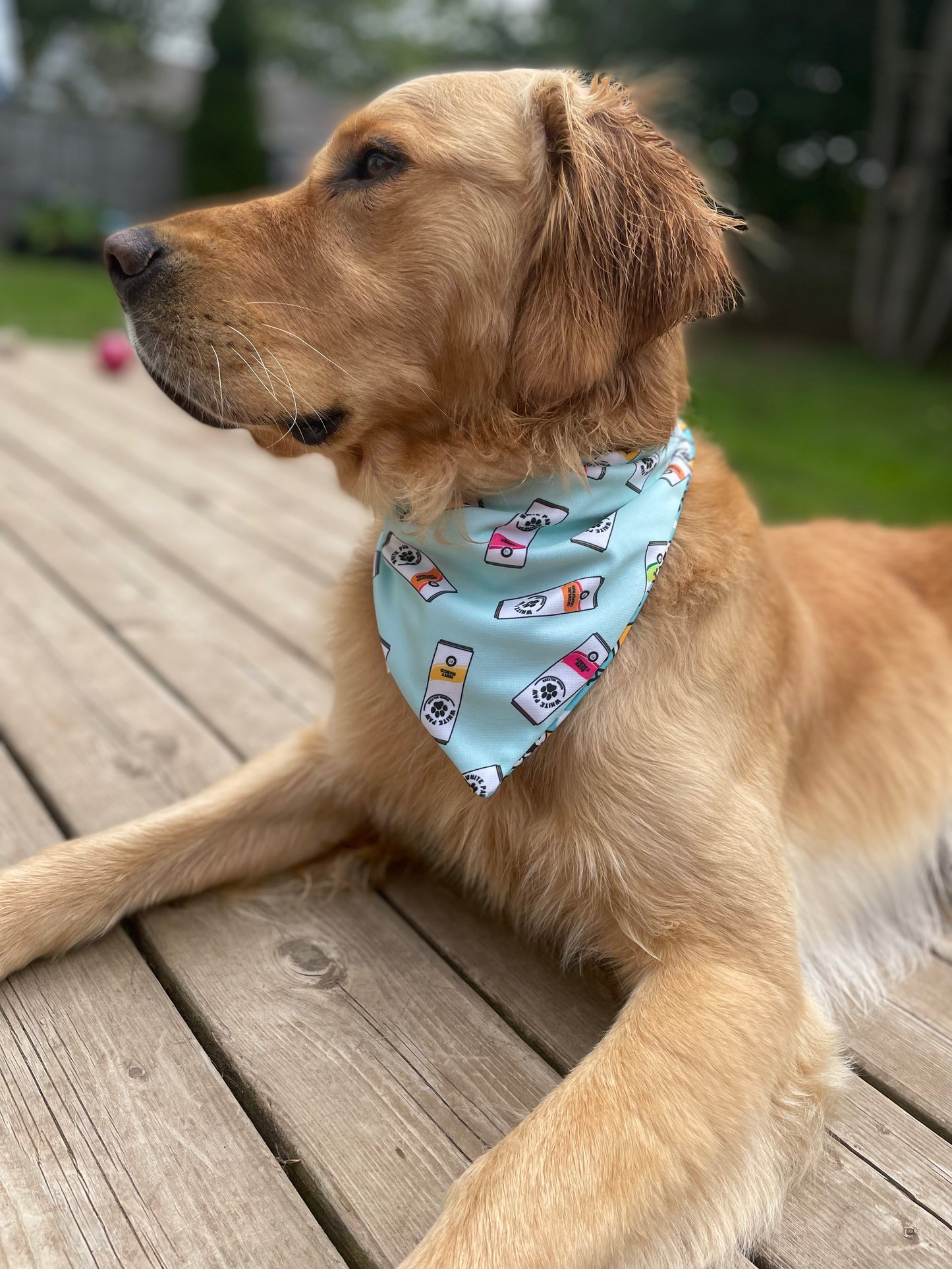 White Paws Bandana