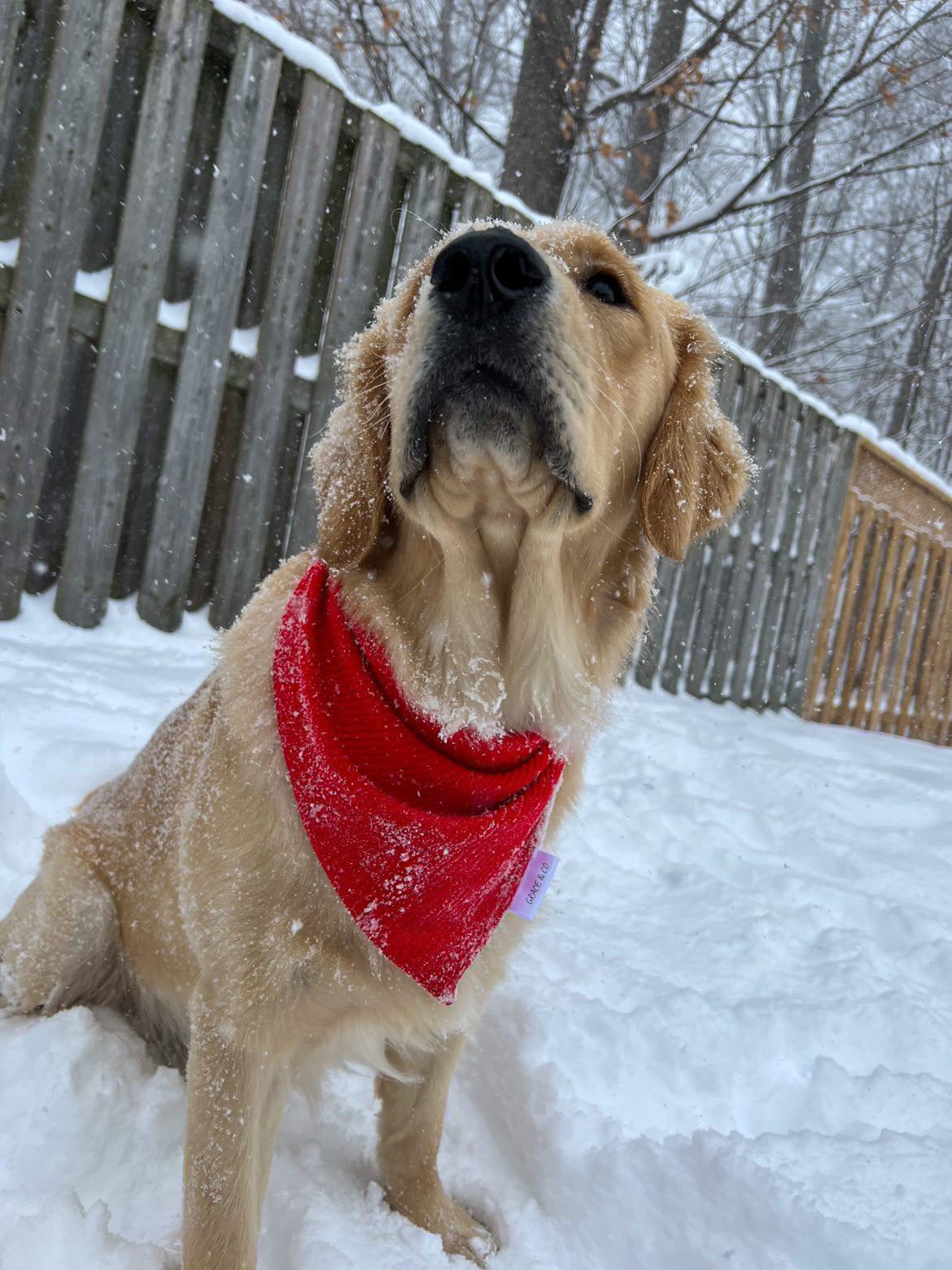 Christmas Bamboo Ribbed