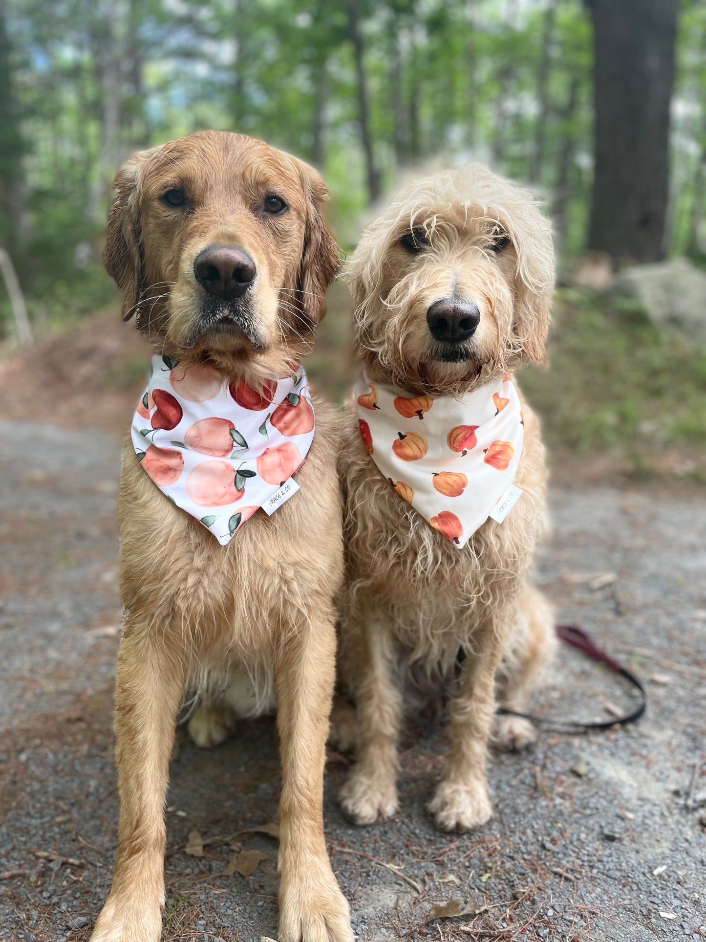 Apple Pickin': 2 in 1 Fall Pup Bandana