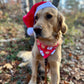 Milk & Cookies For Santa: 2 in 1, double sided dog bandana