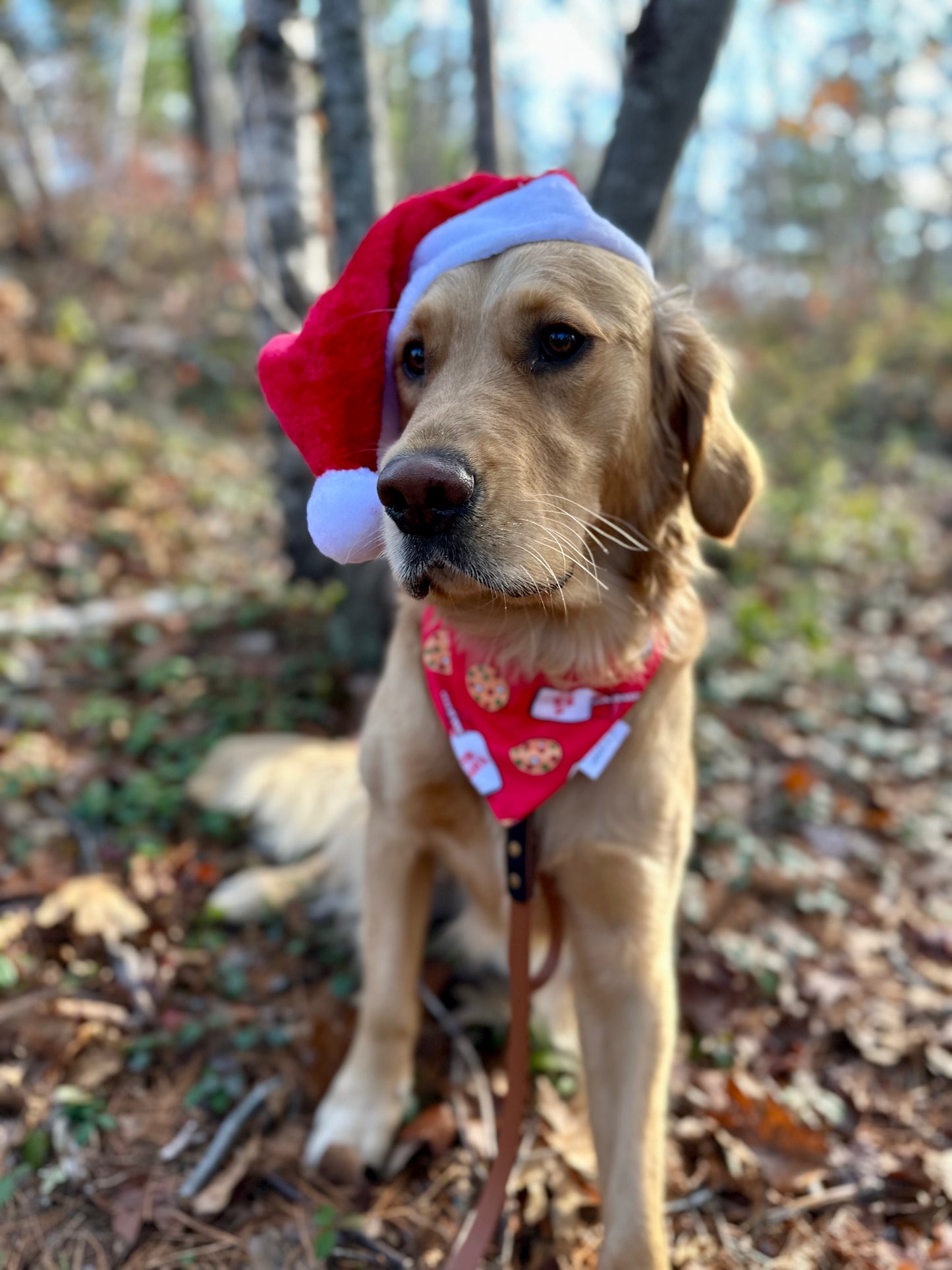 Milk & Cookies For Santa: 2 in 1, double sided dog bandana