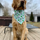 Lucky Pups, Double Sided Bandana w/ Brass Snaps