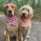 Apple Pickin': 2 in 1 Fall Pup Bandana