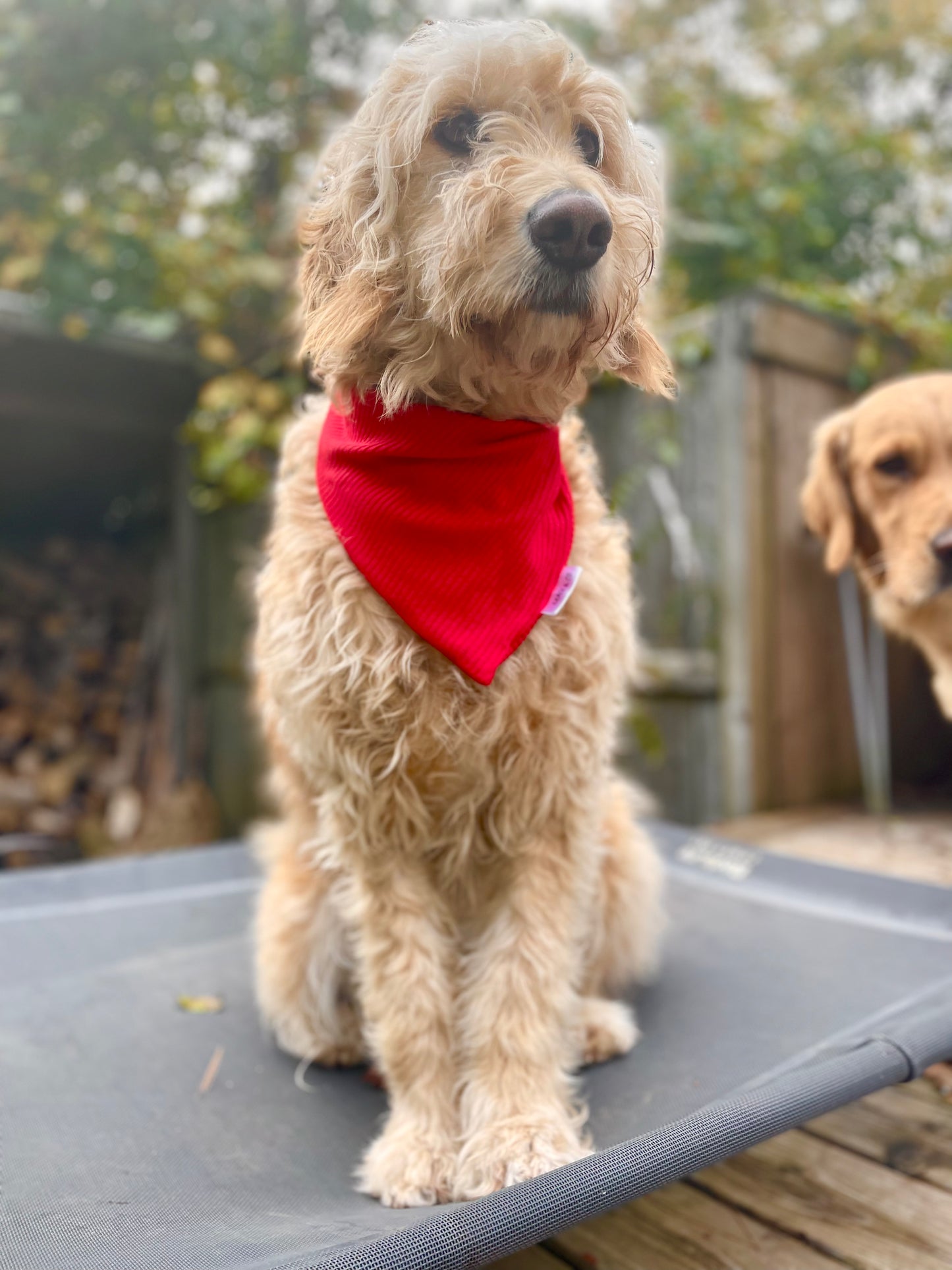 Christmas Bamboo Ribbed